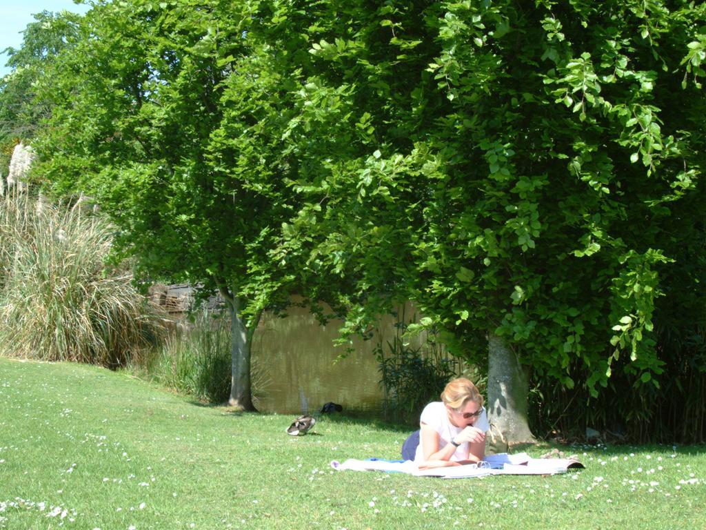 University Of Exeter - Pennsylvania Court Dış mekan fotoğraf