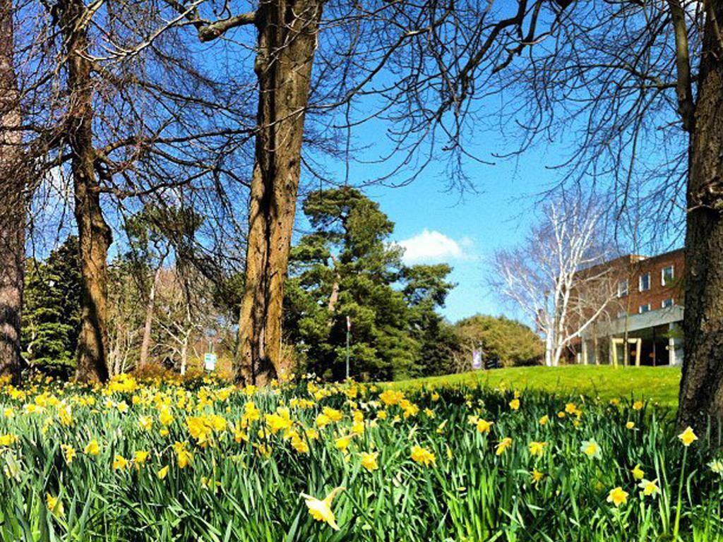 University Of Exeter - Pennsylvania Court Dış mekan fotoğraf