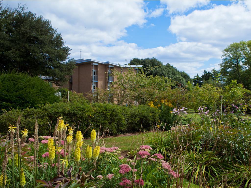 University Of Exeter - Pennsylvania Court Dış mekan fotoğraf
